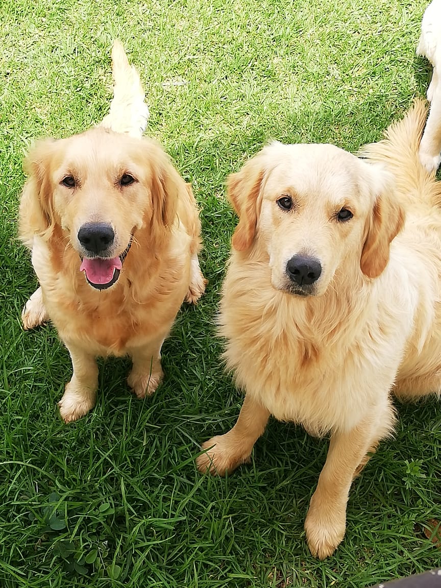 Troy & Lunna